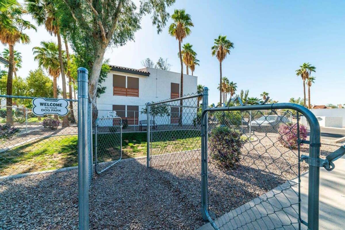 33 Avenida Pool View Studio New To Market Avenida King Bed Ds Casa Grande Exteriör bild